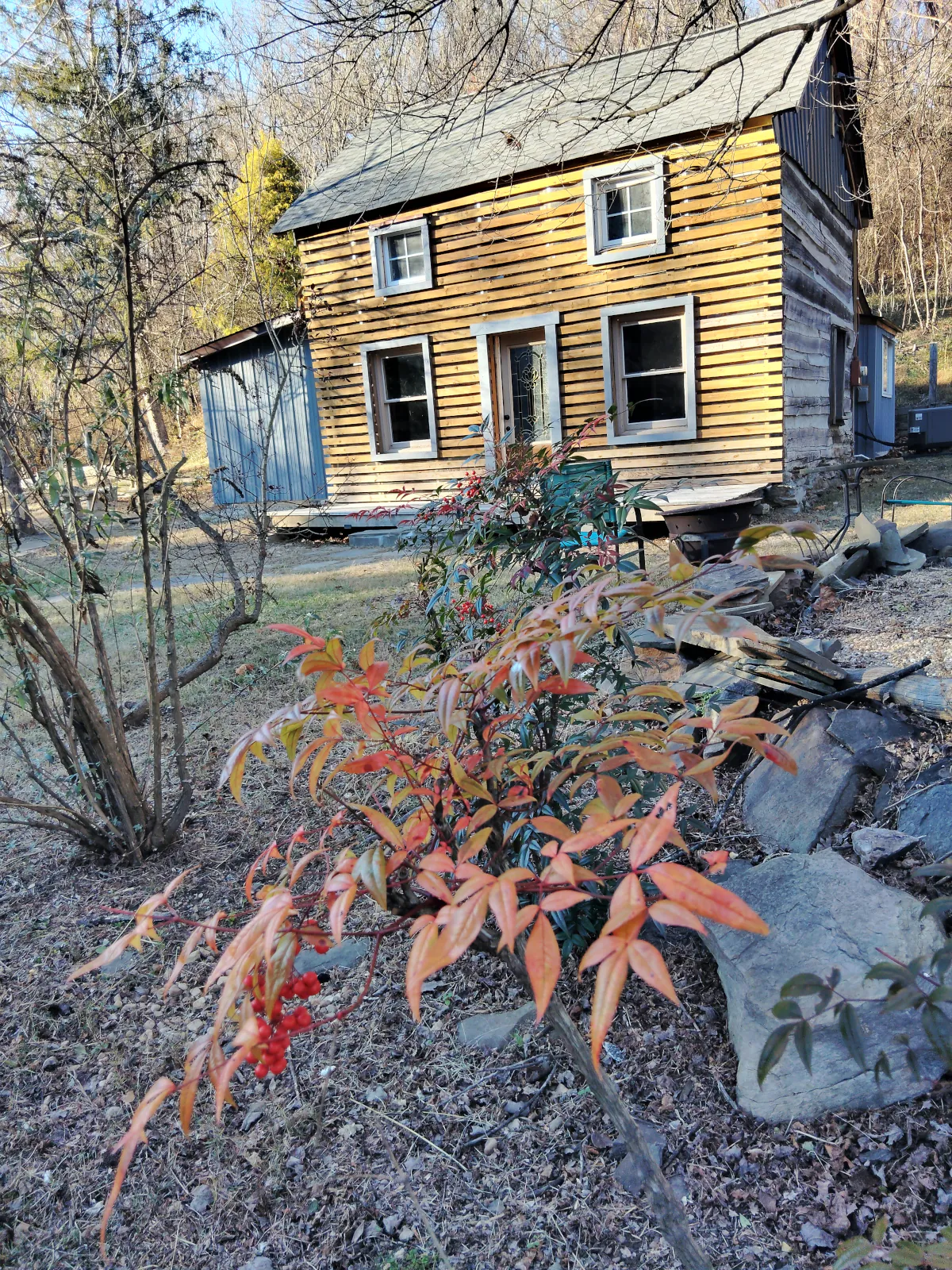 Cozy cabin in the woods
